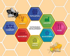 Galapagos Graphics: Sustainability Hive © GCT